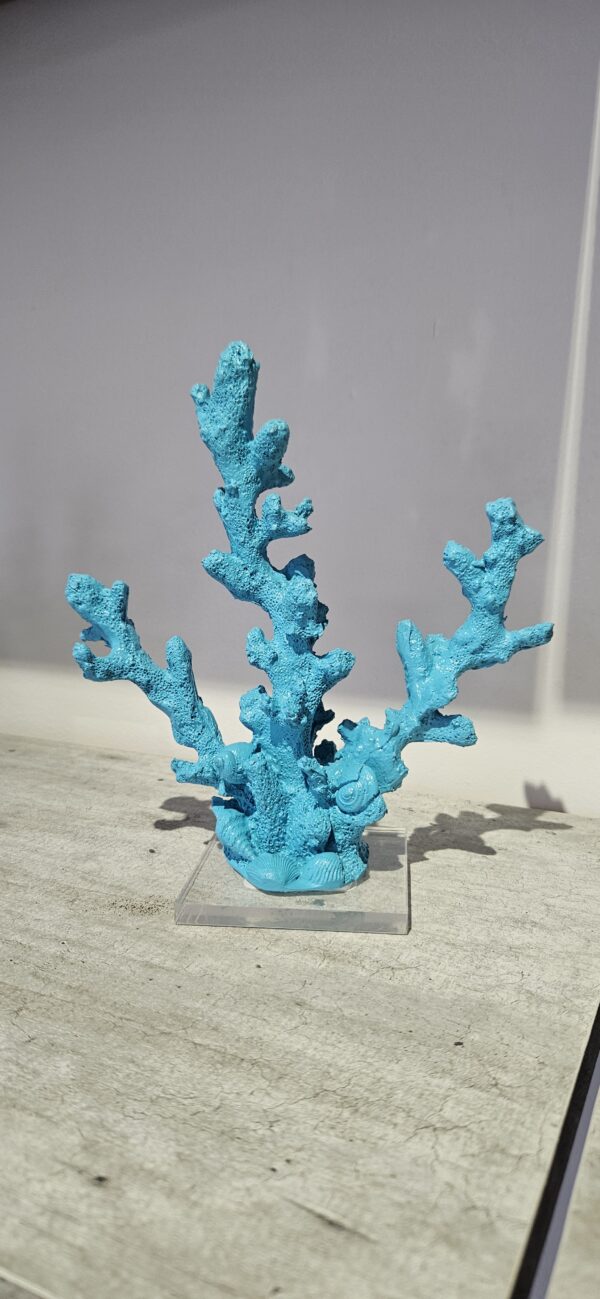Coral Fino Turquesa