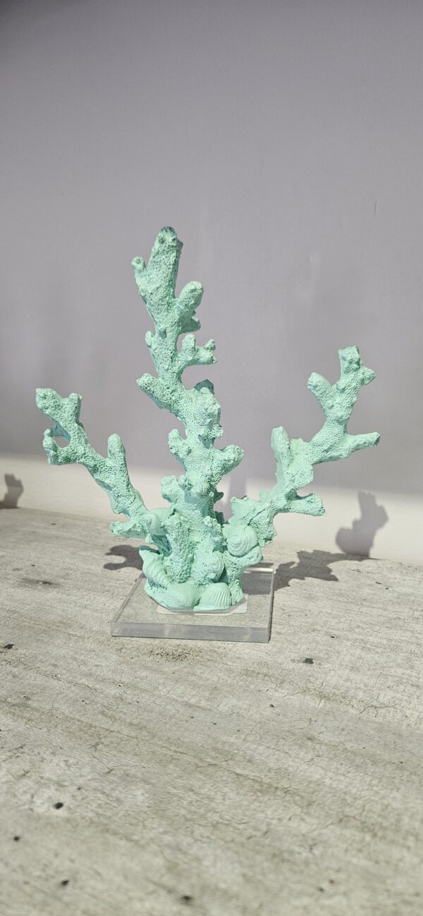 Coral Fino Acqua