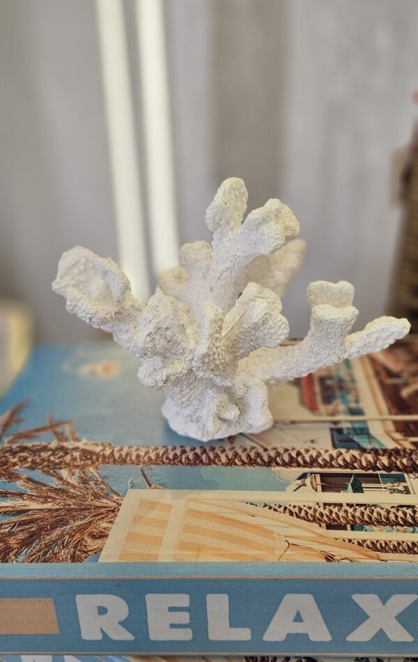Coral decorativo - Image 2