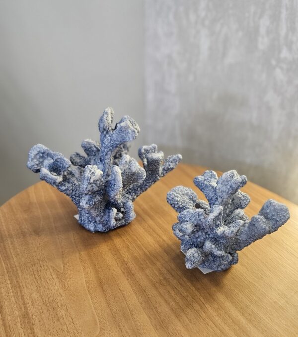 Coral decorativo