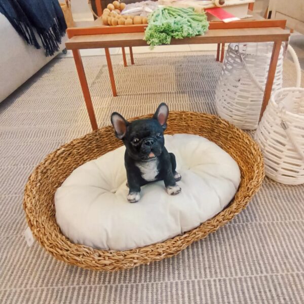 Cesto cama pet modelo 3